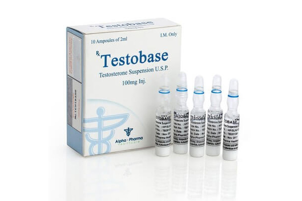 Testobase