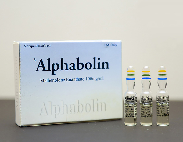Alphabolin is a pharmaceutical grade Methenolone Enanthate (Primo) manufactured by Alpha Pharma Healthcare.