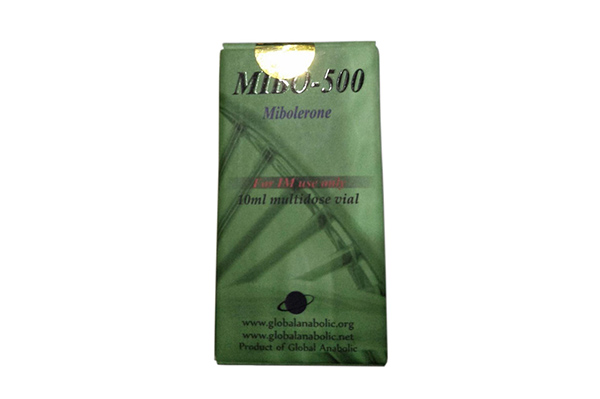 Mibo-500 is a pharmaceutical grade Mibolerone manufactured by Global Anabolic. Mibolerone is an injectable anabolic steroid, structurally derived from nandrolone. Among athletes it is most commonly applied during bulking phases of training, or to stimulate aggression before a workout or competition. 1 x 10ml vial of Mibo-500 Global Anabolic Mibolerone 500mcg/ml. Oil-based injectable.
