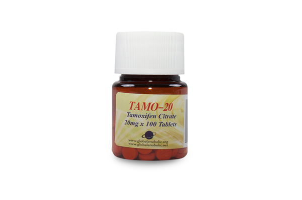 Tamo-20 is a pharmaceutical grade oral Tamoxifen Citrate (Nolvadex) manufactured by Global Anabolic. Tamoxifen Citrate provides protection against gynecomastia during a cycle of steroids. Nolvadex also reduces water retention caused by certain steroids, and also allows a relaunch of testosterone in the testicles.